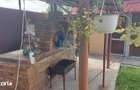 Proprietate cu doua imobile, com. Dragutesti. Comision 0% - 9