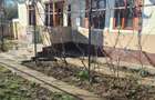 Casă cu 3 camere în Drănic - 4