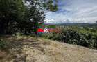 TEREN INTRAVILAN DE VANZARE IN POIANA CAMPINA | 3.526 M - 4