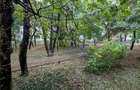 Apartament 3 Dristor | Parcare |Pet Friendly |Bloc Reabilitat - 9