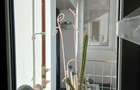 Apartament 3 camere de vanzare Gorjului
