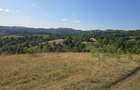 15 Hectare teren la munte ?inutul Padurenilor - 8