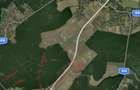 Teren intravilan de vanzare Snagov | 25000mp - 4