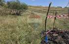 Teren intravilan de vanzare 843 mp – Chinteni