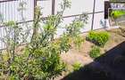 Proprietate de vamzare  - 2