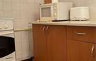 Garsoniera zona Iulius Mall - 300 Euro - 1
