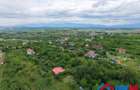 Teren intravilan 1000 mp in Sibiu Daia Noua