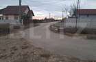 Teren 11.693 mp, Cornesti