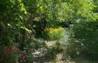 Casa 4 camere, curte mare - 1