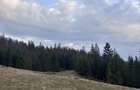 Teren de vanzare Malini (Valeni Stani?oara), Jud Suceava - 2