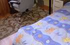 Apartament inchiriere 4 camere decomandate 2 bai et. 1 - 5