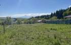 Teren 600 mp ideal casa sau cabana | Tocile, Sadu | Proiect si avize - 4