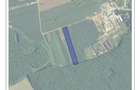 Teren padurea Snagov - 2