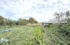 Casă 3 camere, Teren 3.263 mp, Str.Mărășești Nr.16 -Carei-Comision 0% cumpărător - 10