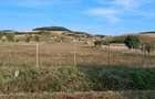 Teren de 2000 mp, în Petelea - 2