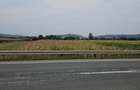 Teren intravilan 2.900 mp la DN17, Uriu front 18,5 m, toate utilit - 1