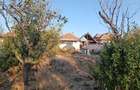 Casa Cerne?i (Piatra Alba) 4500 mp