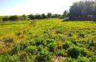 Teren 18.247 mp cu balta de pescuit Misca, Comuna Chislaz, Bihor - 5