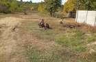 Teren de vanzare intravilan 4150mp