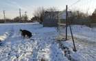 Teren intravilan 500 mp in Glina, Ilfov, langa Bucuresti - 4
