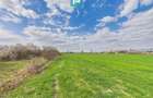 Teren extravilan, 1 ha, in ora?ul Sebi?, Arad - 3