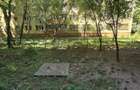 Apartament 2 camere DE RENOVAT BRANCOVEANU - 9