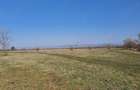 Teren intravilan 4700m2 Culcea periferie, Com. Sacalaseni - parcelabil - 3
