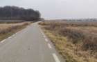 Teren Exclusiv 4.550 mp Ciolpani - Zona Narrative / Padurea Snagov - 5