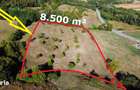 Super view | Teren 8.500 m2 Maramures | Viitorul tau colt de liniste - 10