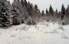 Cabana Premium din Bustean Masiv | 480 mp utili | Teren 9.000 mp | Vatra Dornei |