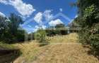Casa cu 3 camere, 2300mp teren, zona SubPadure - 5