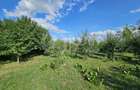 Teren intravilan cu casa renovabila | 772mp teren | Front 12m | Aiton - 2