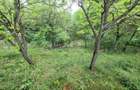 Casa in Telega----28.000e - 3