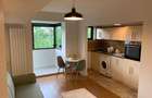 Apartament 2 camere Floreasca langa parc - rezidential/ investitie - 3