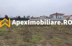 Catelu | Teren 5000MP | Intravilan | 15 Minute Metrou | OPORTUNITATE - 5