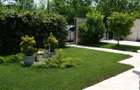 Vila individuala in Corbeanca Park - 3