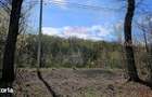 Teren 10,000mp Nemtisor / DJ 155C - 14