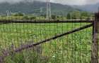 Vand teren intravilan in Stejaru, Pangarati, Neamt - 1706 mp - 3