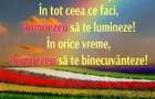 Inchiriez apartament 3 cam plus dependente in Alesd Bihor - 2