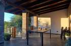 Vand proprietate Ianova - 5