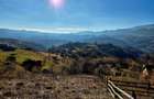 Magura/Brasov, teren generos, pretabil investitie cabane/pensiune/casa - 11