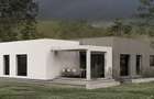 Casa Mitocu Dragomirnei - 1