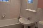 De inchiriat apartament 1 camera in zona Iulius Town - 2