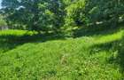 Teren intravilan 960 mp, zona Hemeius - 1