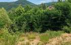 Teren intravilan, 900 mp, panorama, zona Bai?a - Tau?ii - 4