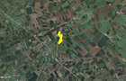 103 ha teren arabil compact, loc. Biled, jud. Timis - 3
