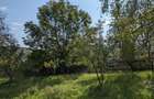 Proprietar - Vand casa cu 4873 m2 teren intravilan - 6