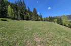 Teren de vanzare in Bucovina zona Pojorata pe Transrarau - 4