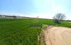 Teren intravilan 13.602 mp | Dragomiresti Vale | Sos. de Centura - 3