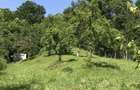 Teren Judetul Arges, comuna Babana - 2